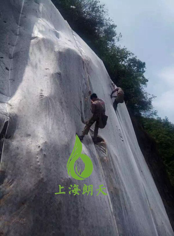 打开金牛版