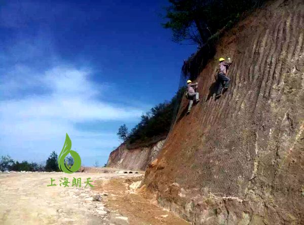 打开金牛版