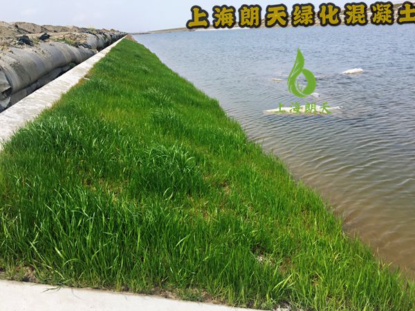 打开金牛版