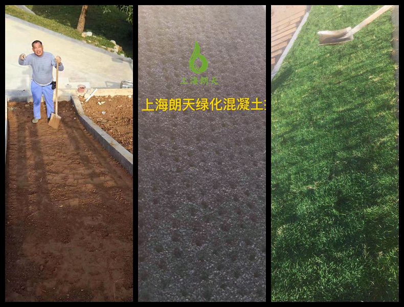打开金牛版