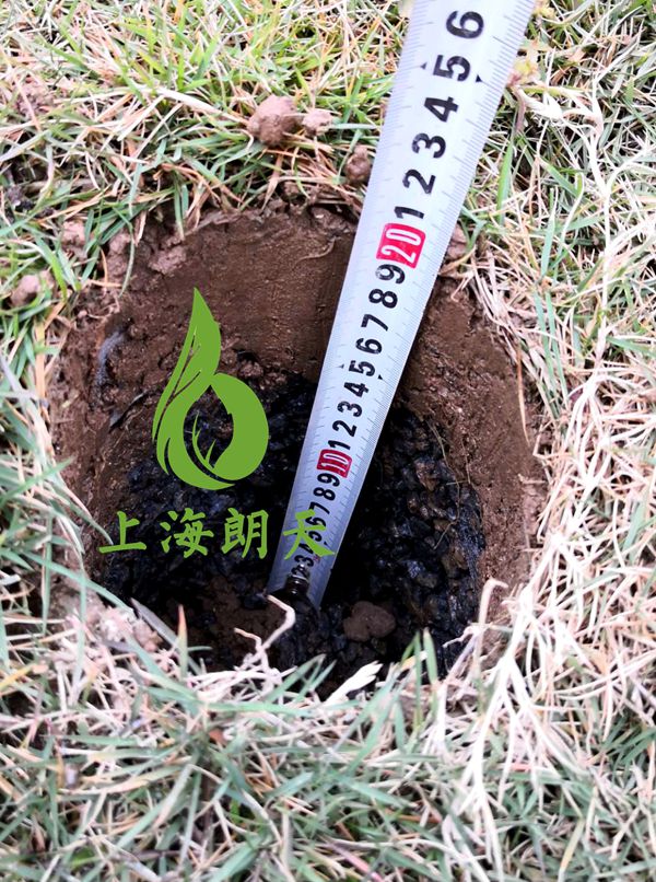 打开金牛版