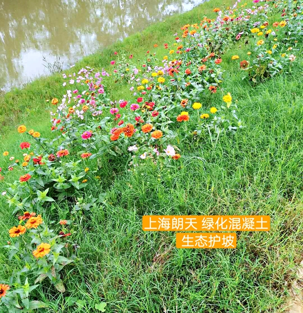 打开金牛版