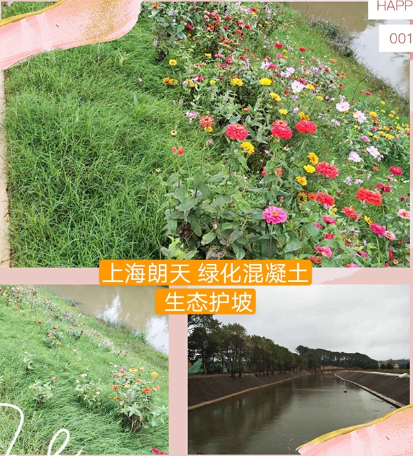 打开金牛版