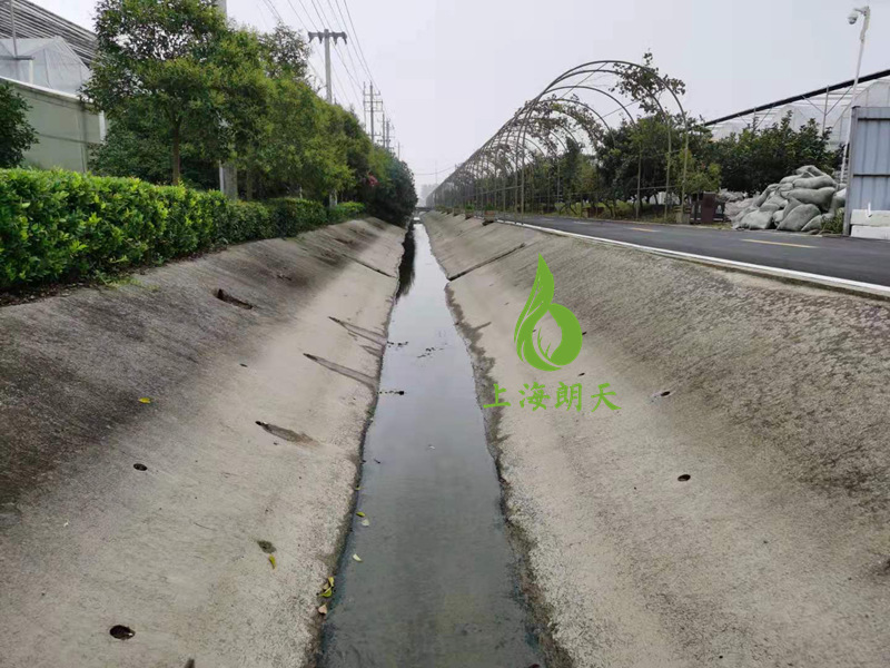打开金牛版