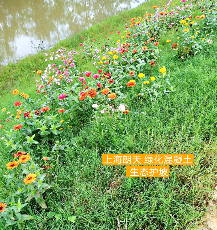 绿化混凝土,植被混凝土,植生混凝土,透水混凝土, 彩色混凝土,生态混凝土添加剂-景观性好