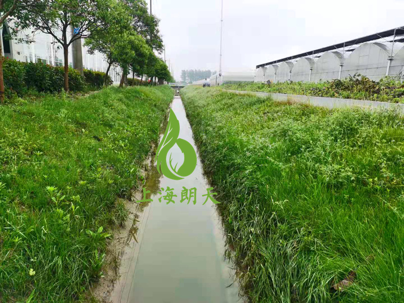 打开金牛版